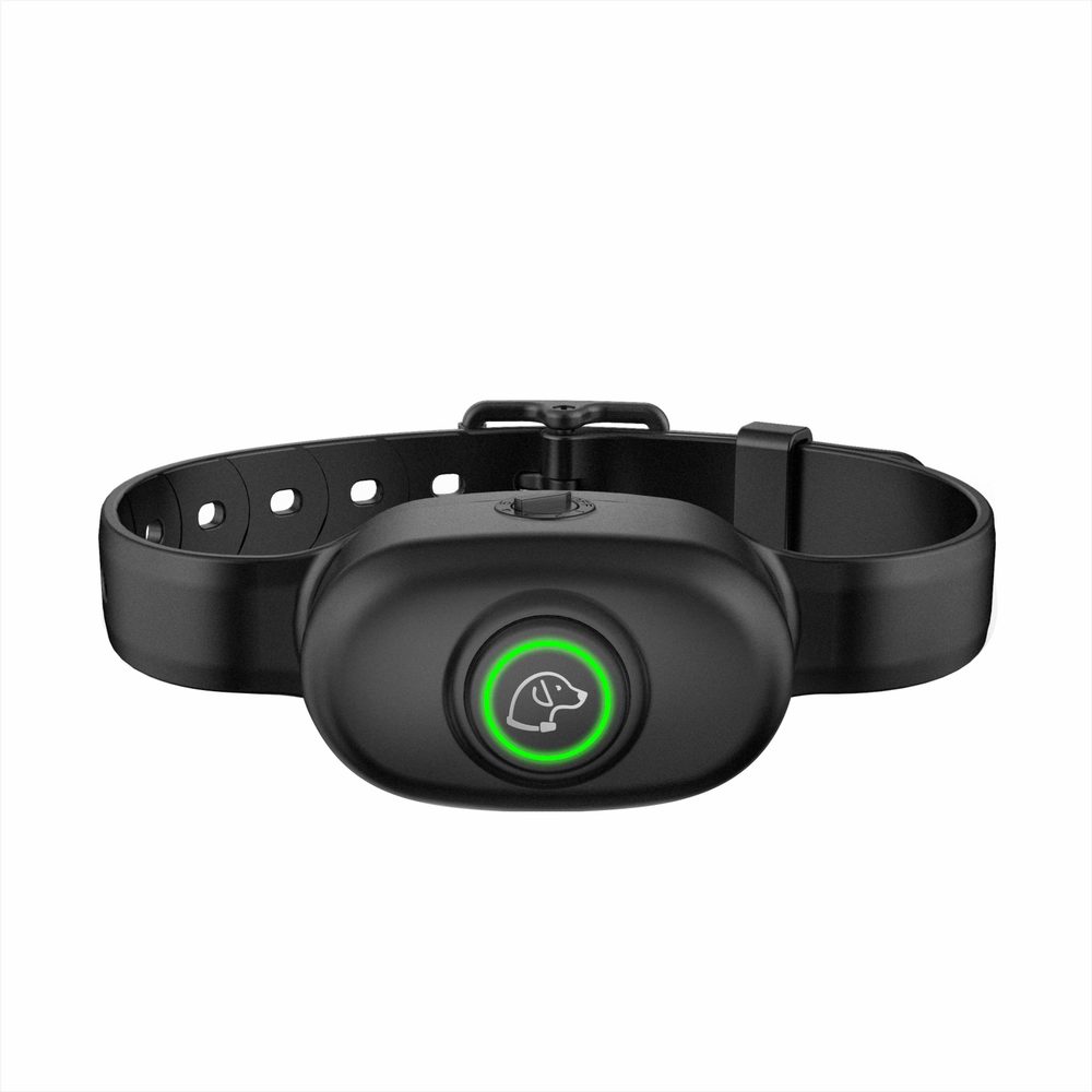 Pethey B78 | P54543