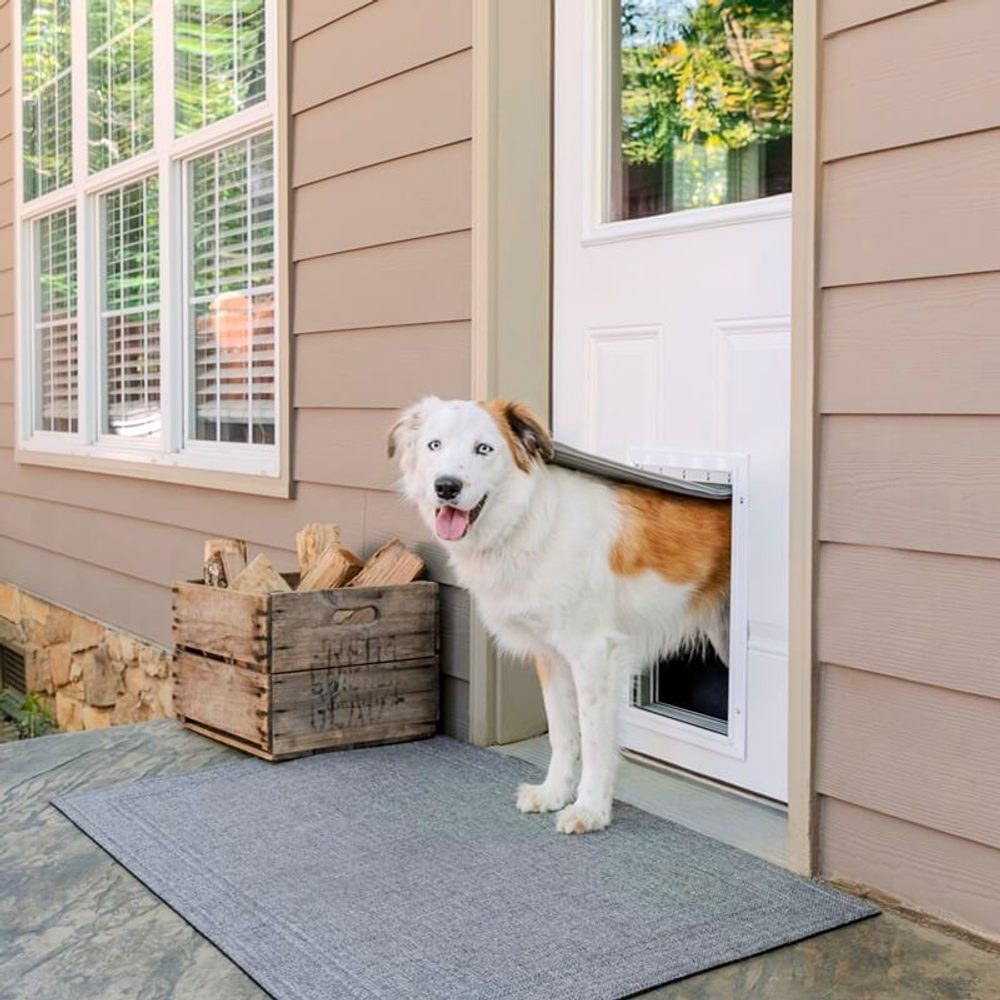 PetSafe® Extreme Weather dvířka pro psy hliníková - L | P55136