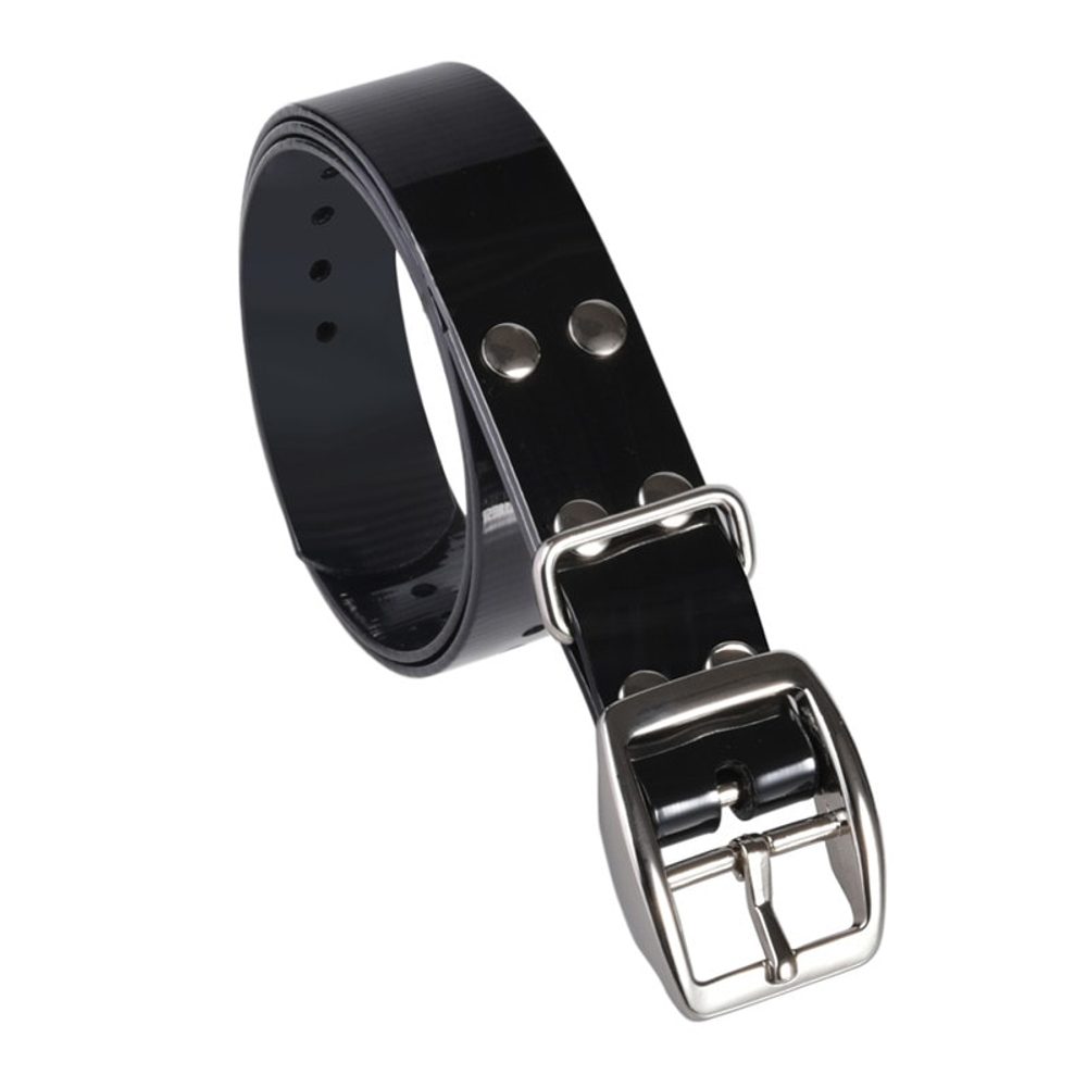 Plastový obojek Reedog 2,5 cm | P47883