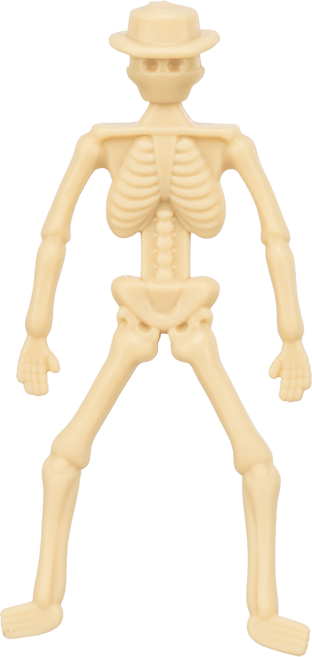 Pochoutka pro psy Trixie Halloween kostlivec s kuřecím prsem 20 g