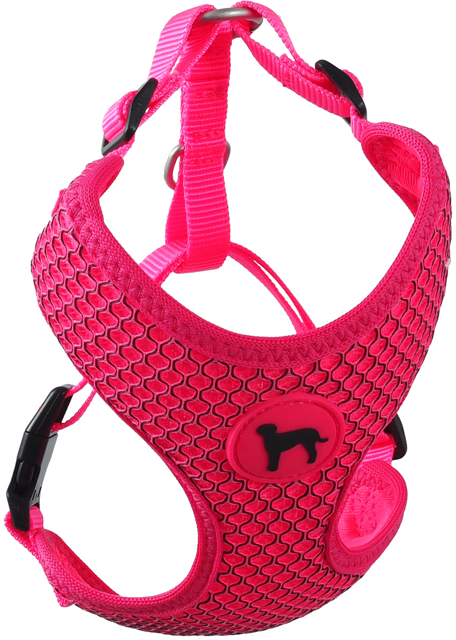 Postroj Active Dog Mellow M růžový 1,5x40-55cm