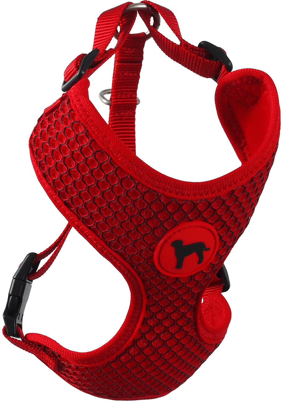 Postroj Active Dog Mellow S červený 1,5x35-47cm