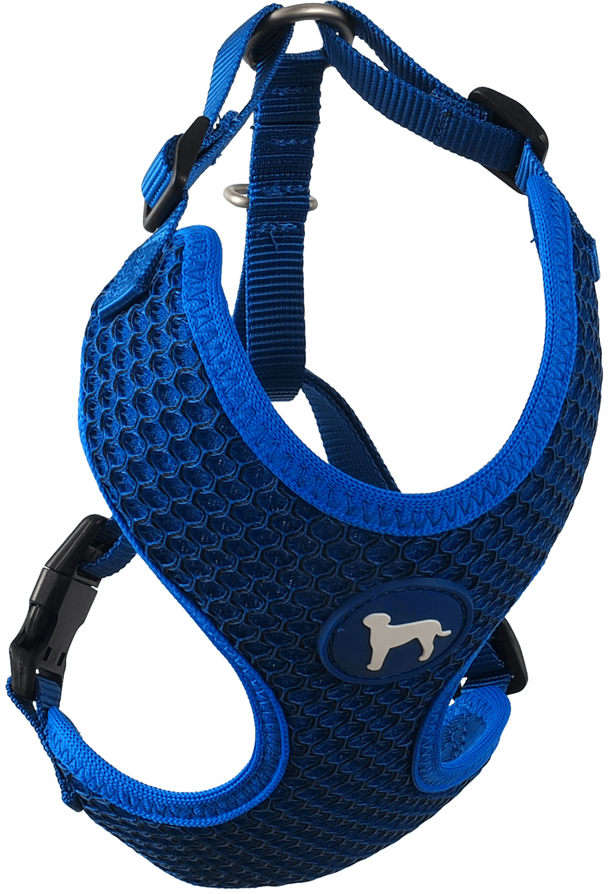 Postroj Active Dog Mellow XS tm. modrý 1,5x30-40cm