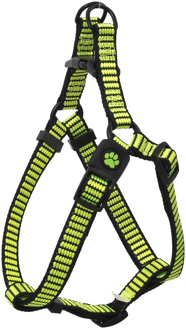 Postroj Active Dog Premium S limetka 1,5x45-63cm