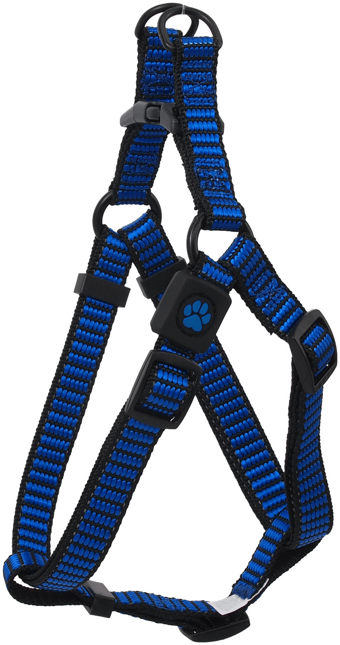Postroj Active Dog Premium S modrý 1,5x45-63cm