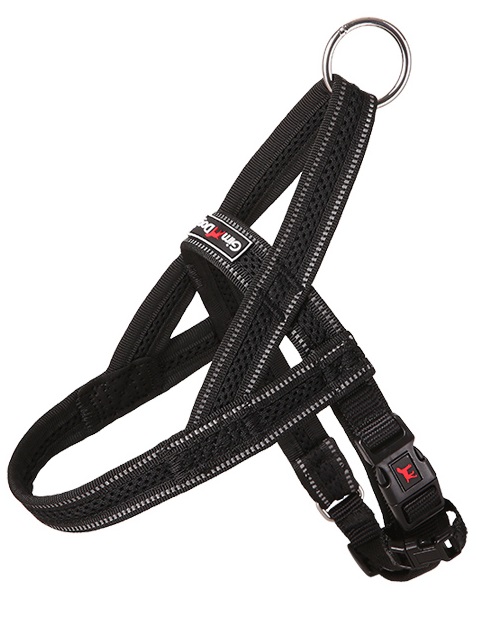 Postroj Gimborn Mesh Y 1,5 x 42 45-55 cm černý