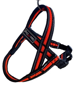 Postroj GimBorn Mesh Y 1,5 x 42 45 - 55 cm oranžový