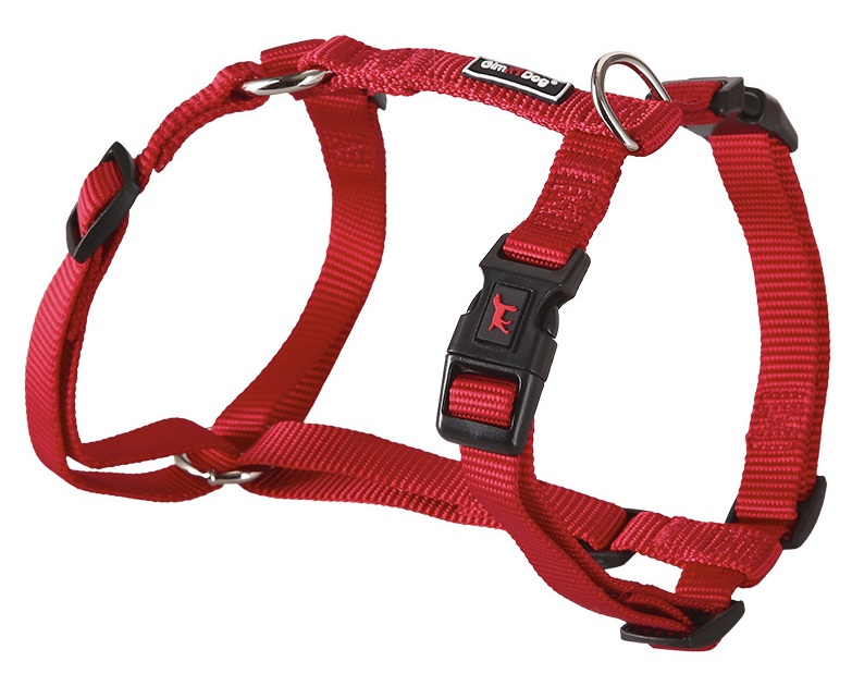 Postroj Gimborn Nylon H 1,5 x 40-55 cm červený