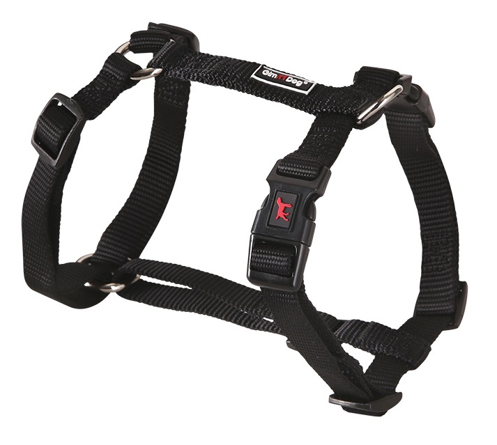 Postroj Gimborn Nylon H 3,8 x 80 - 110 cm černý