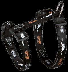 Postroj s vodítkem pro kočky Trixie 21-34cm*8mm*1,2m