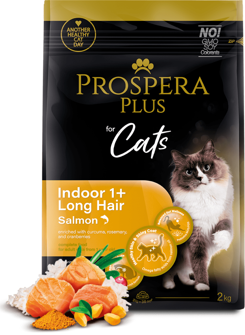 Prospera Plus Indoor 1+ Salmon Long Hair 2kg