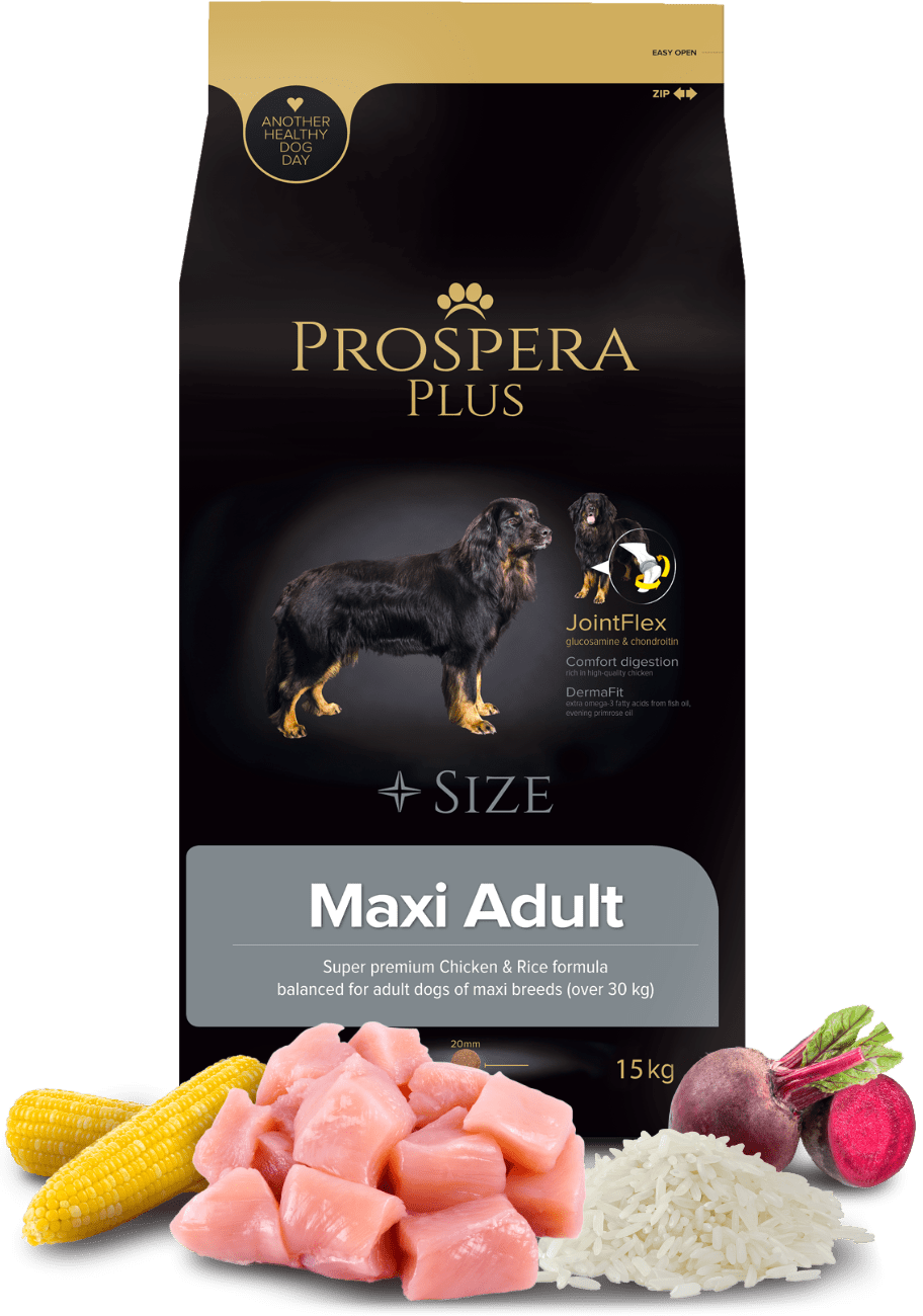 Prospera Plus Maxi Adult 15kg