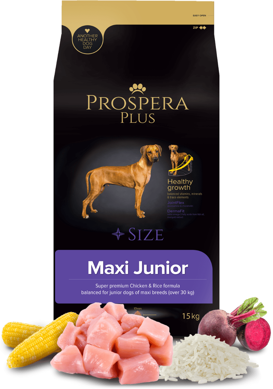 Prospera Plus Maxi Junior 15kg
