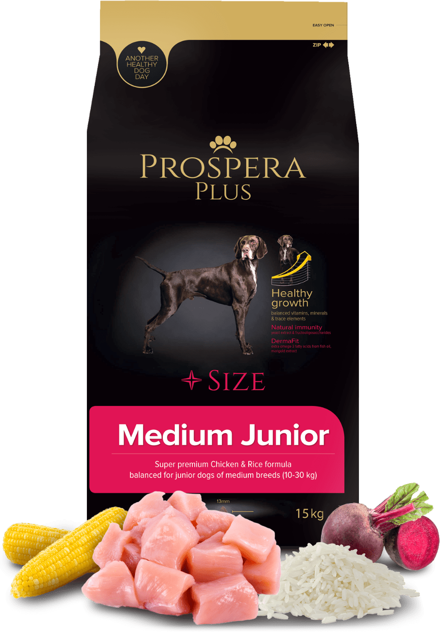 Prospera Plus Medium Junior 15kg