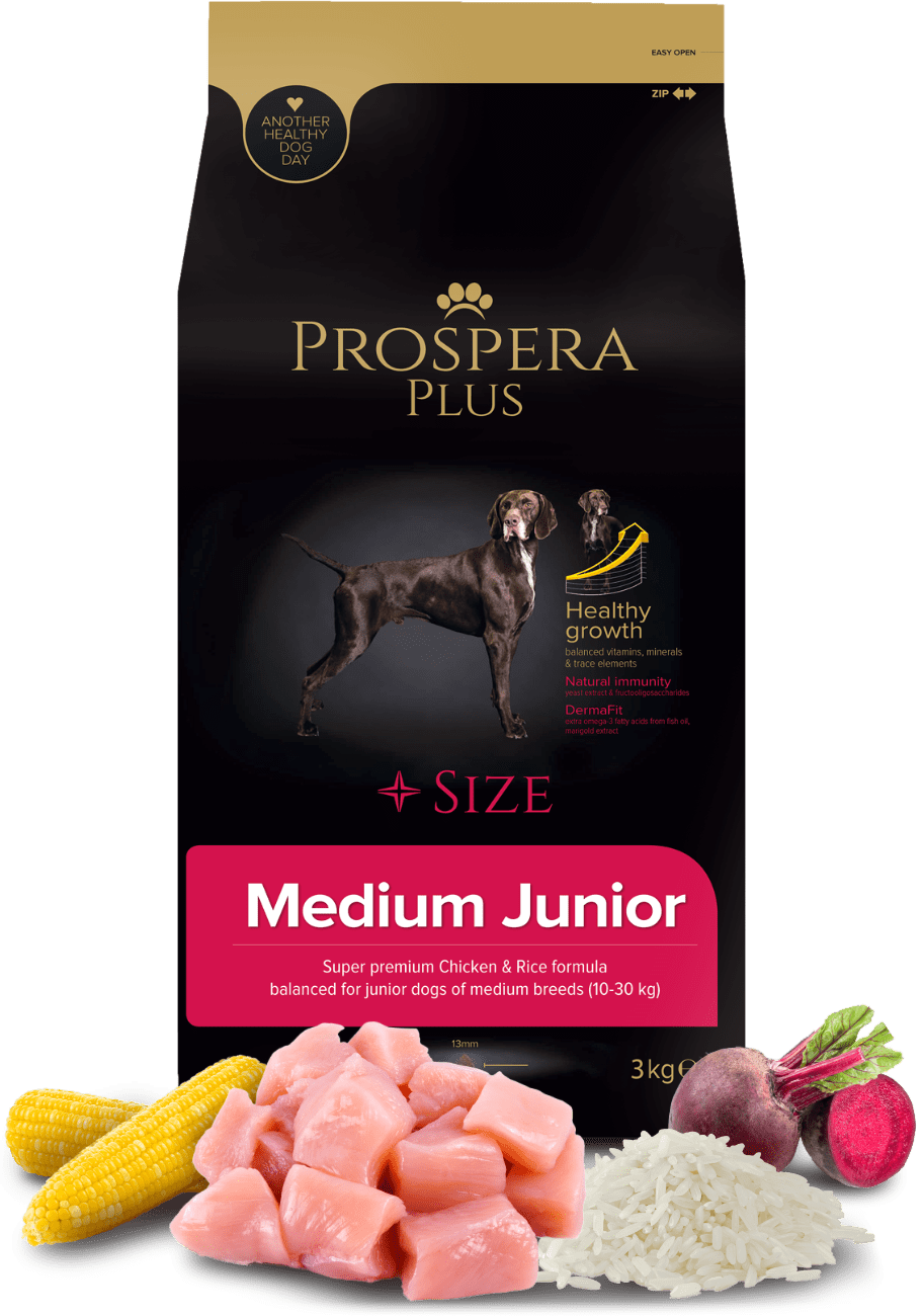 Prospera Plus Medium Junior 3kg