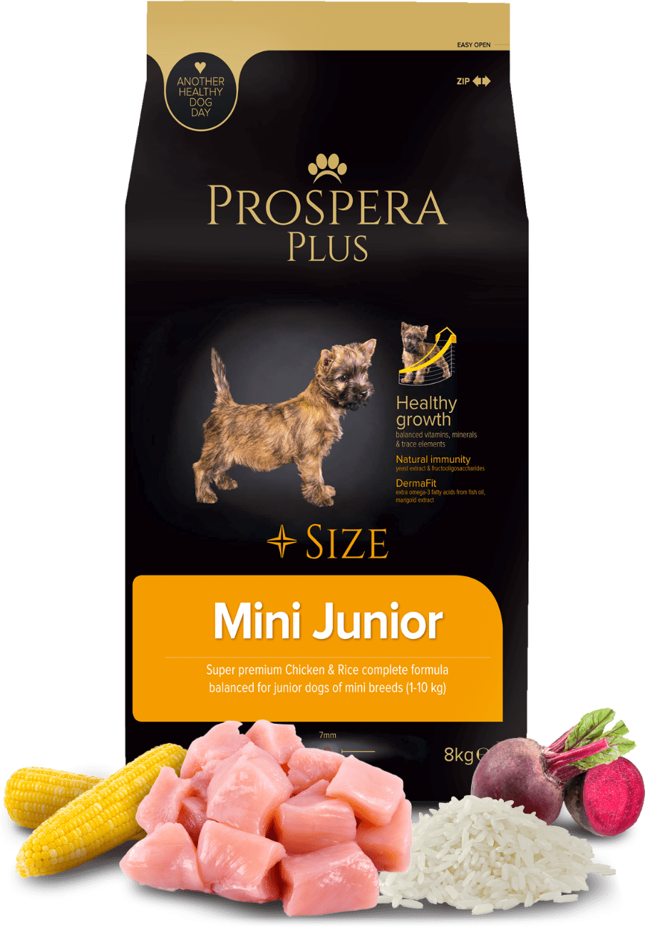 Prospera Plus Mini Junior 8kg