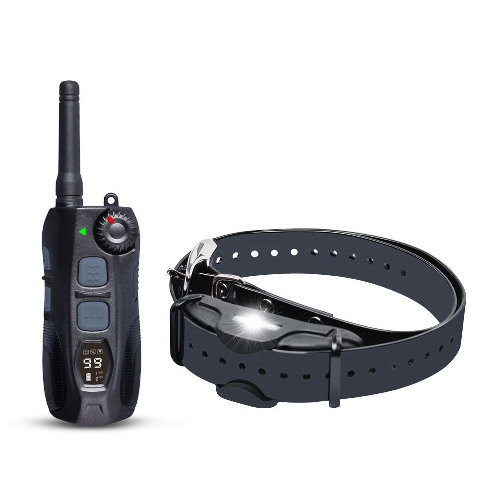 Reedog DT-2400 | Elektronický výcvikový obojek | P48970