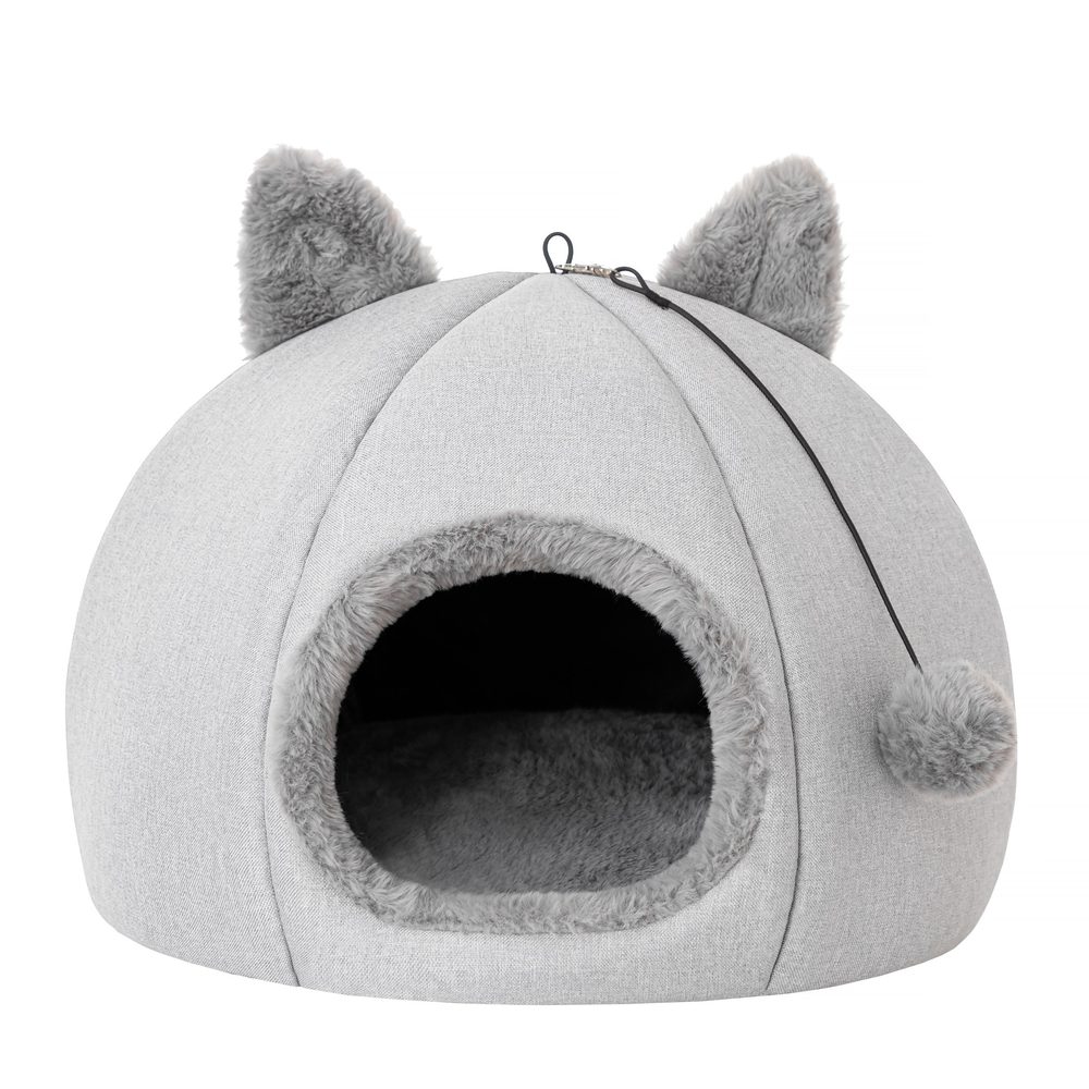 Reedog Iglú Kitty Head Ash | P55902