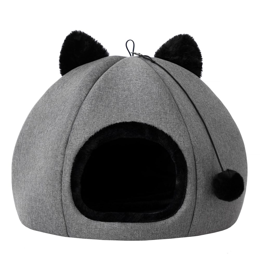 Reedog Iglú Kitty Head Grafit | P55899