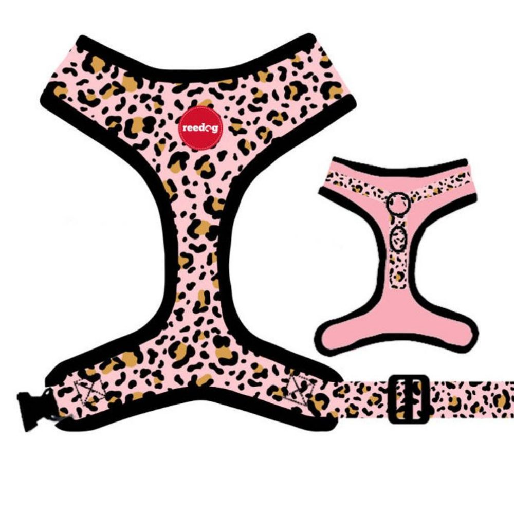 Reedog LEO PINK | Kšíry pro psa | P51817