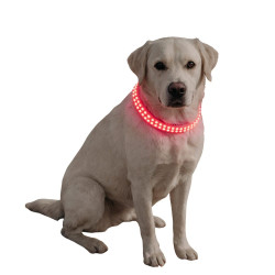 Reedog luminous USB svíticí obojek pro malé, střední a velké psy