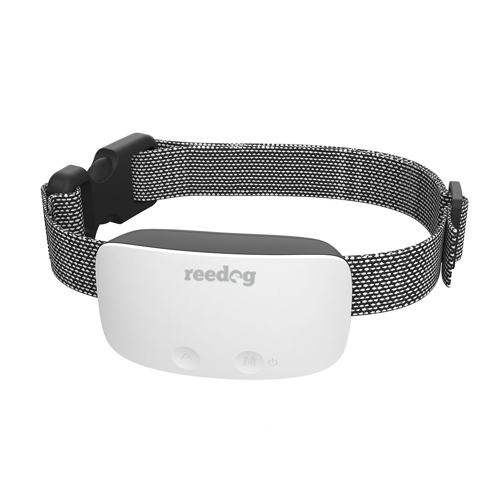 Reedog No Bark Premium | Protištěkací obojek - Bílá