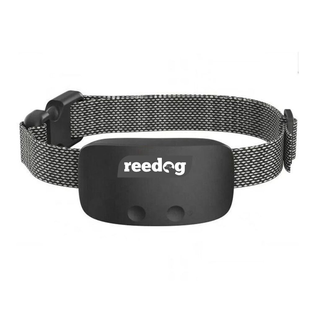 Reedog No Bark Premium - černá | P55608