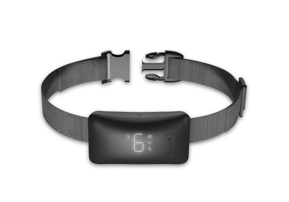 Reedog No Bark Premium Multi 2