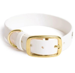 Reedog obojek bílý Biothane