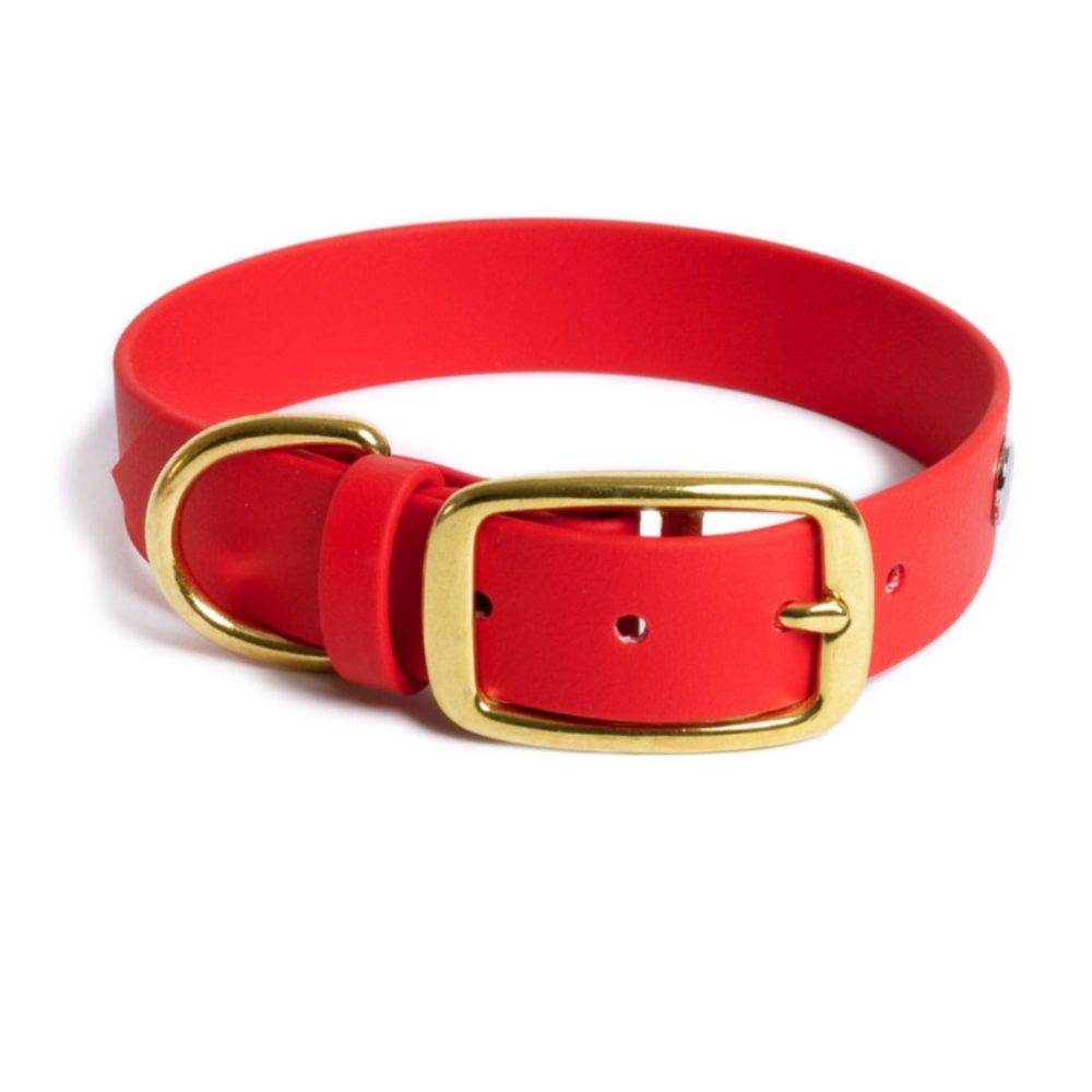 Reedog Obojek červený Biothane| Obojek pro psy | P58986