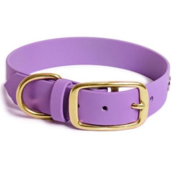 Reedog obojek fialový Biothane