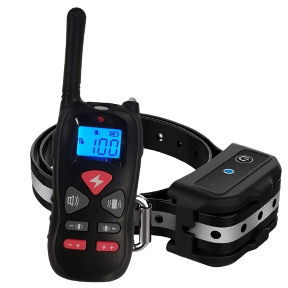 Reedog P11 | P53794