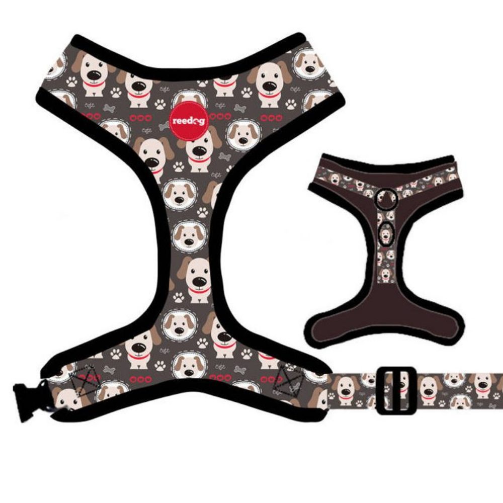 Reedog PUPPY | P51825