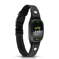 Reedog S1 | P53116