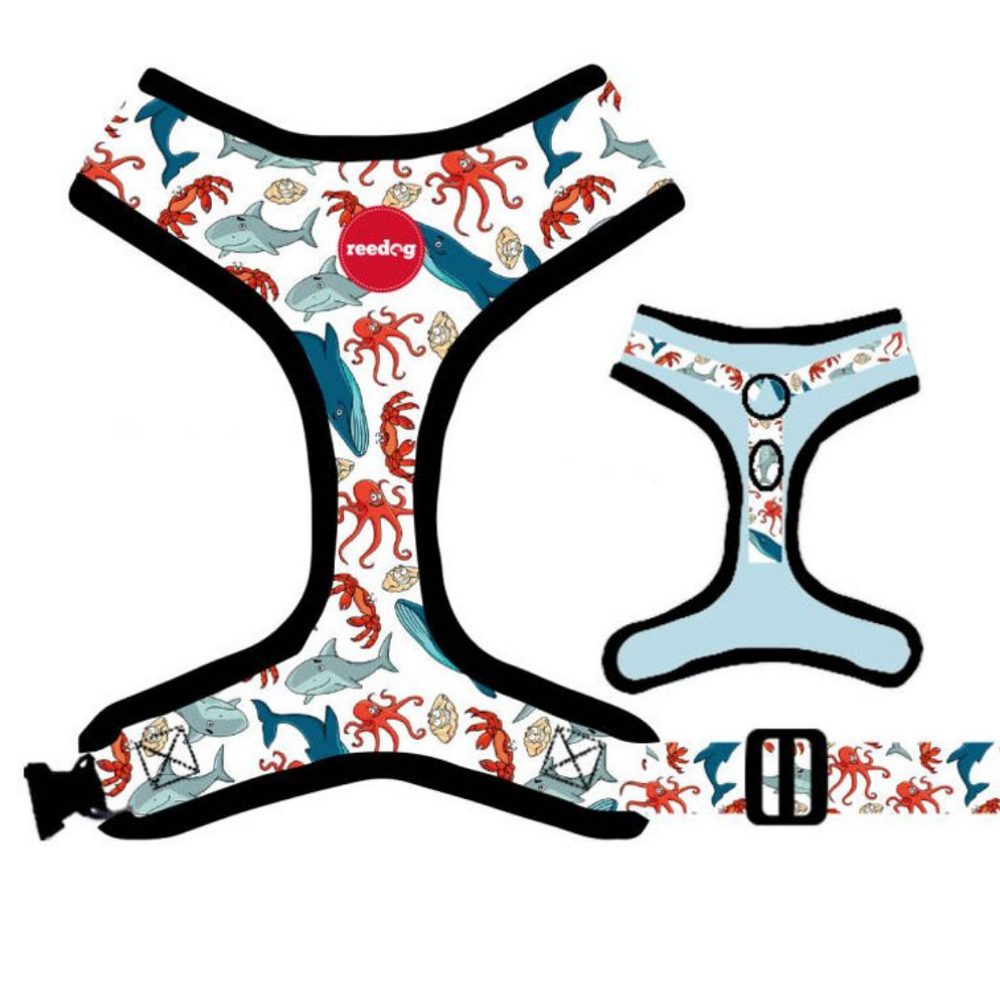 Reedog SEA | P51826