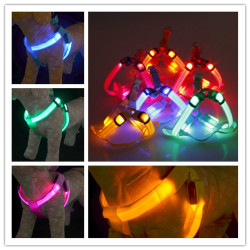 Reedog svíticí kšíry pro psy a kočky