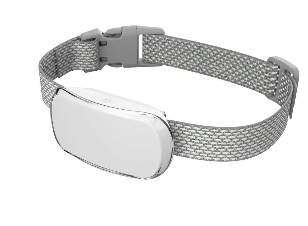 Reedog TC-005 | Protištěkací obojek - Bílá