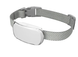 Reedog TC-005 | Protištěkací obojek - Bílá