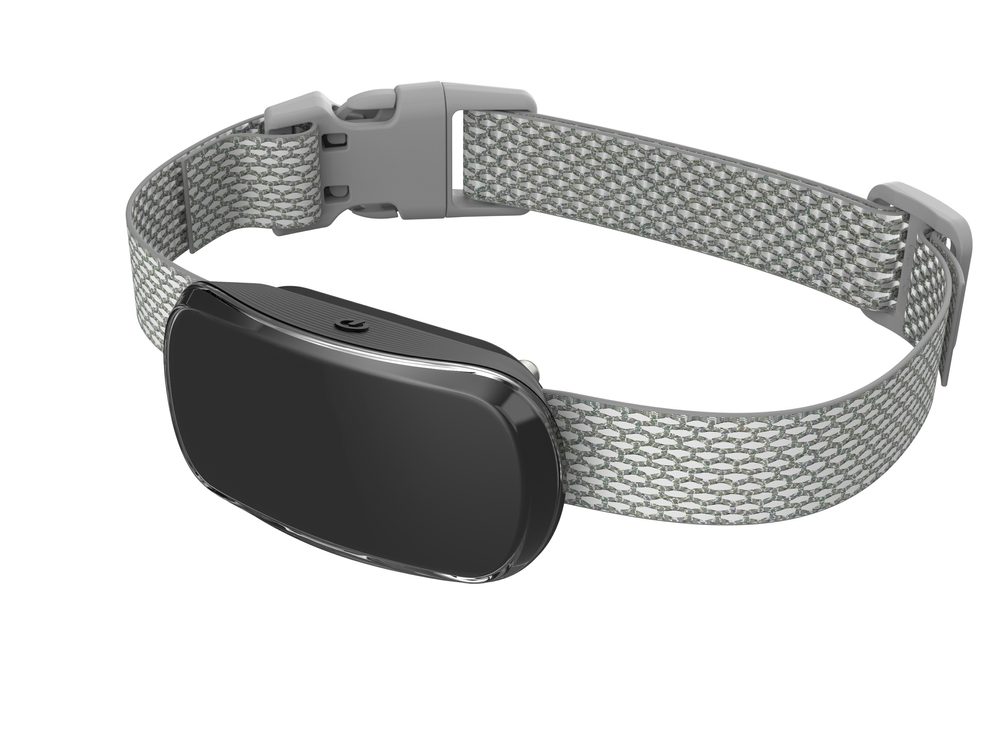 Reedog TC-005 | Protištěkací obojek - černá