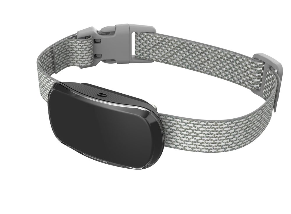Reedog TC-005 | Protištěkací obojek - černá | P55606