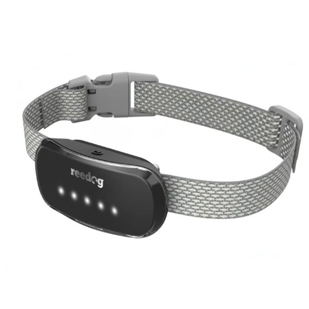 Reedog TC-005 | Protištěkací obojek | P53090