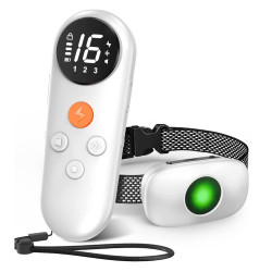 Reedog TC-021 | Elektronický výcvikový obojek pro psy