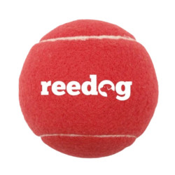 Reedog tenisový míček pro psa - M | P38053