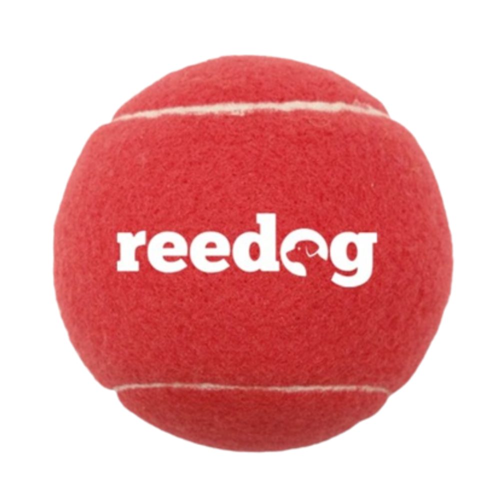 Reedog tenisový míček pro psa - XS | P48119
