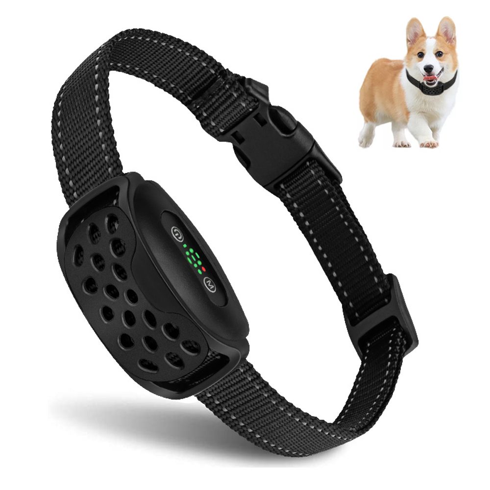 Reedog V2 | Protištěkací obojek