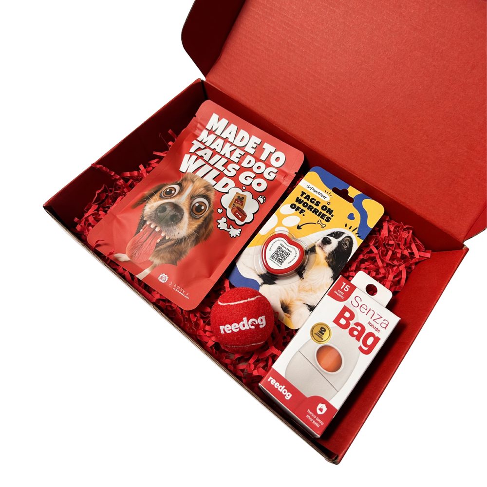 Reedog Valentýnský box pro pejsky | P59027
