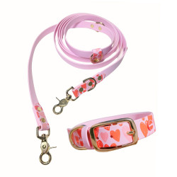 Reedog venčící set srdce Biothane OBOJEK + VODÍTKO