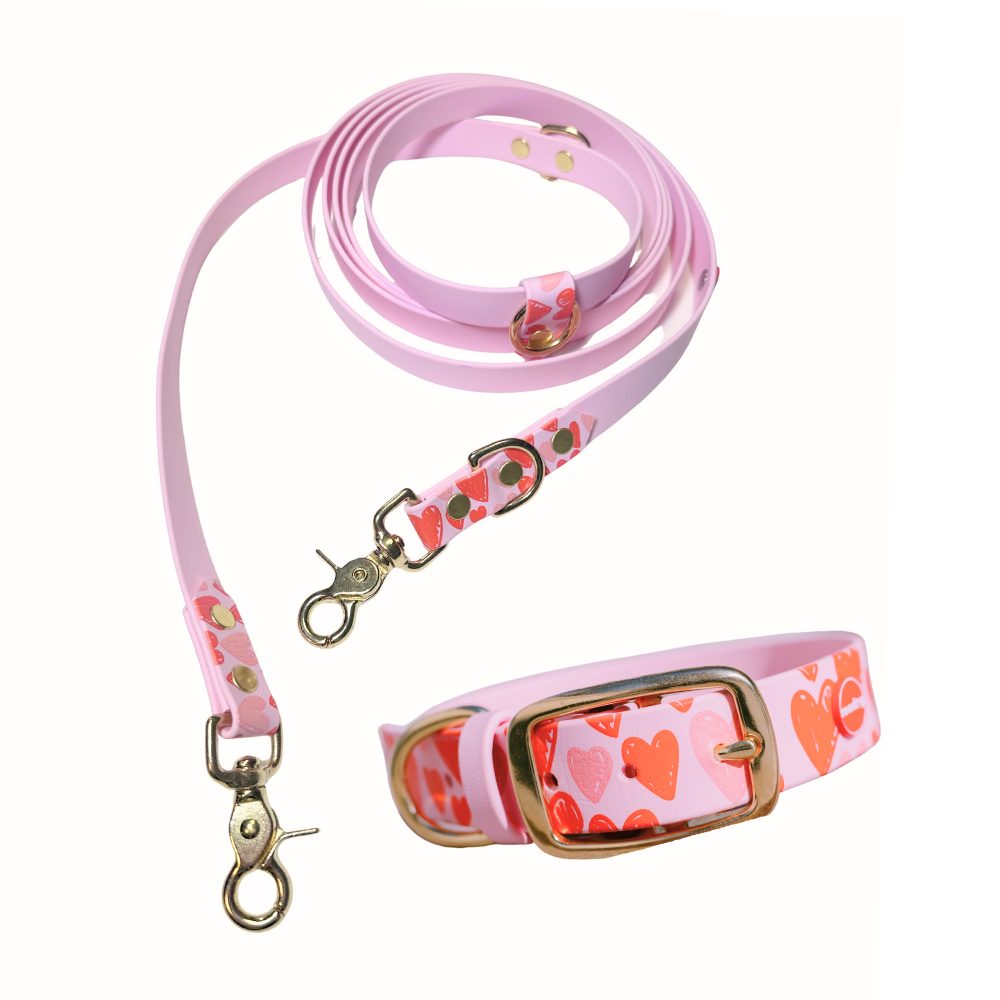 Reedog venčící set srdce Biothane OBOJEK + VODÍTKO | P59235