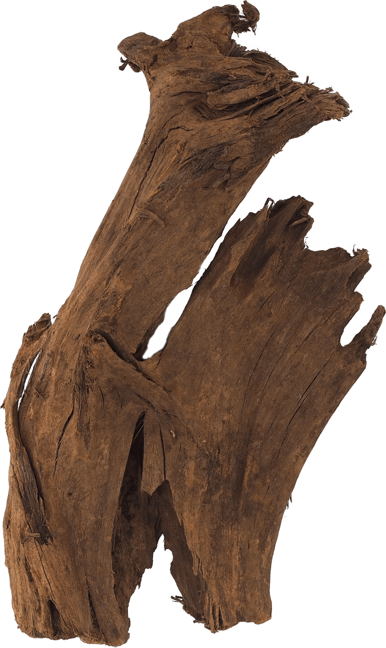 Repti Planet kořen DriftWood Bulk M 29-36cm