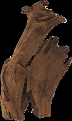 Repti Planet kořen DriftWood Bulk M 29-36cm